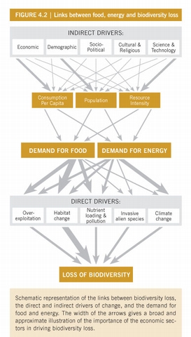 Links between food, energy and biodiversity loss