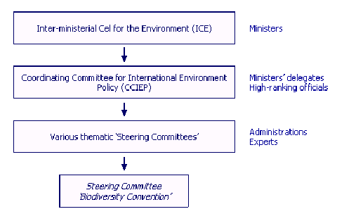 CCIEP- Steering Group Ornagramme