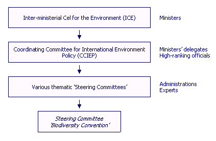 CCIEP- Steering Group Ornagramme