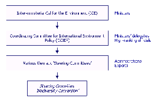 CCIEP- Steering Group Ornagramme