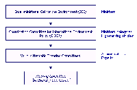 CCIEP- Steering Group Ornagramme
