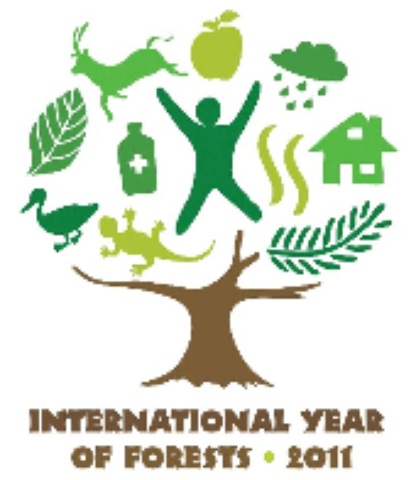 2011 International Year on Forests