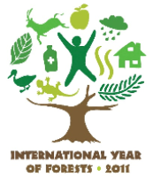 2011 International Year on Forests