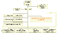 LNE organigram