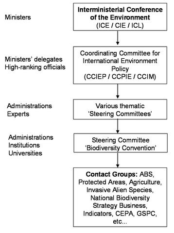 Steering Commitee Biodiversity Convention (EN)