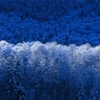 C:\Documents and Settings\All Users\Documents\My Pictures\Sample Pictures\Winter.jpg