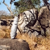 Ouaga 2003, Visit à Laongo, statut "drôle de tête"