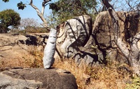 Ouaga 2003, Visit à Laongo, statut "drôle de tête"