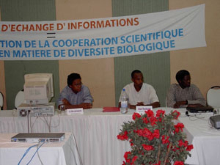Ouaga 2003, Clôture officielle de l'atelier "participants"
