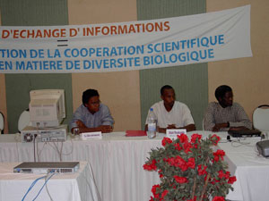 Ouaga 2003, Clôture officielle de l'atelier "participants"