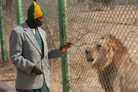 Ouaga 2006, lion et dompteur 
