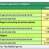 Organic agriculture in Belgium (EN)