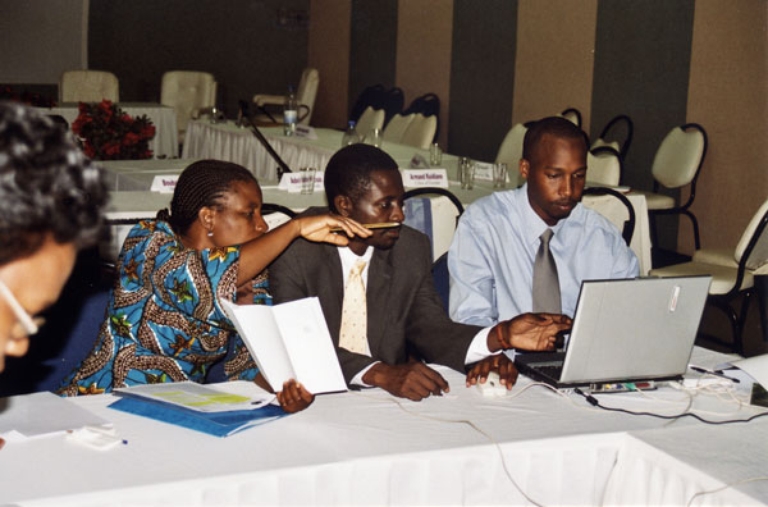 Ouaga 2003, Committee de rapportage