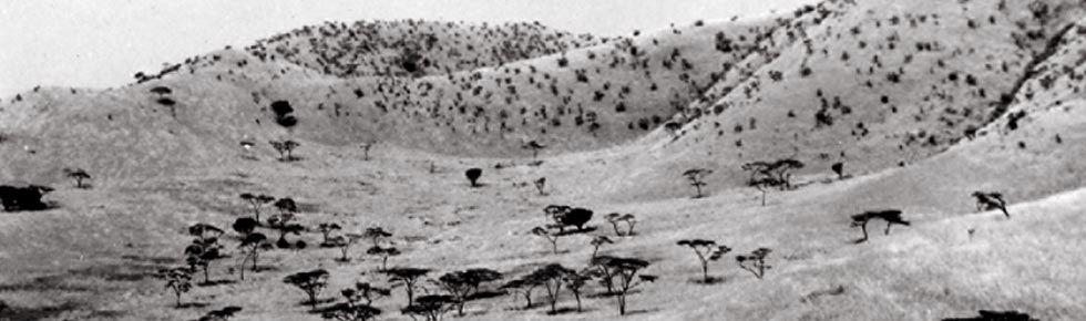 01-savanneMountains.jpg