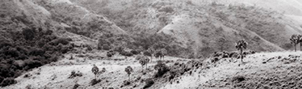 08-mountain-2.jpg