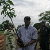 le Maire de Djougou met en terre le premier plant