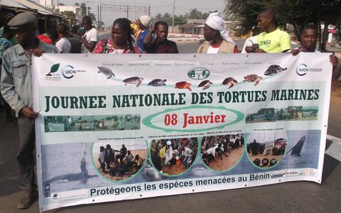 Journées nationale des tortues marines 2017