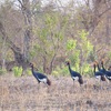 IMG_1532.JPG