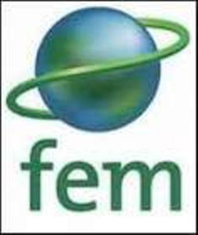 Logo- fem