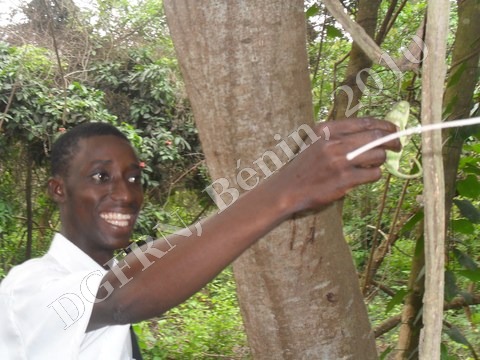 lachees_cameleons_etudiants.JPG