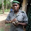 serpents1.JPG