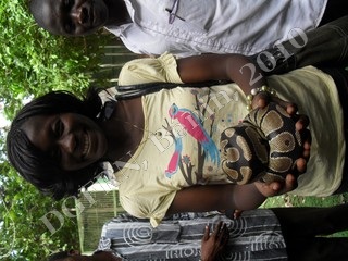 serpents_etudiants.JPG