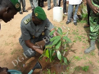 SDC11621.JPG