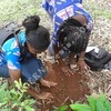 SDC11630.JPG