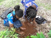 Mise en terre des plants rares ou menacés