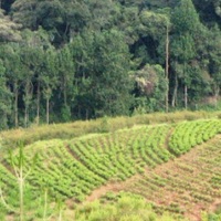Ecosystèmes au Burundi