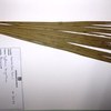 Hyphaene benguellensis, Kirk
