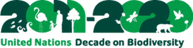 Decennie international sur la biodiversité