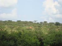 Paturage