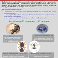 Posters sur la recherche en biodiversité