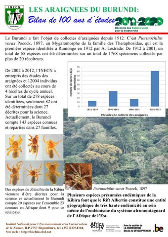 recherche sur les araignées