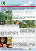 Paysages Protégés de l'Est et du Sud du Burundi