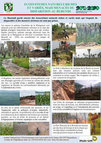 Menaces des aires protégées du Burundi