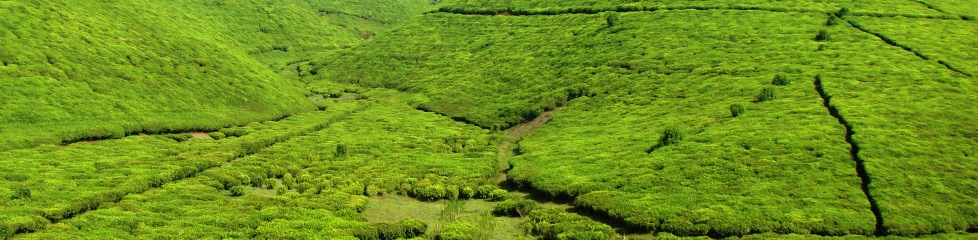 cultures-Burundi