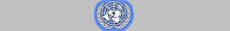 The United Nations - UN (Nkula)