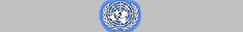 The United Nations - UN (Nkula)