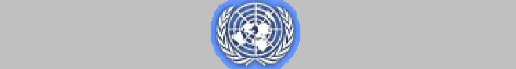The United Nations - UN (Nkula)