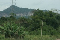colline dans la forêt ghana francis han de koeidjer