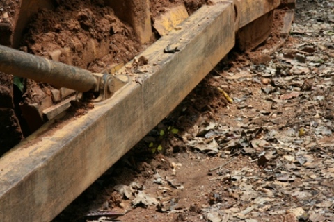 papillon_buldozer_moussa.JPG