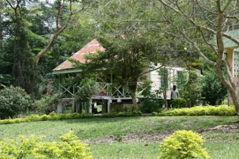 villa-foret-francis.JPG