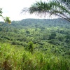 Landscape, Ghana
