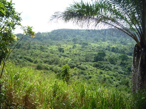 Landscape, Ghana