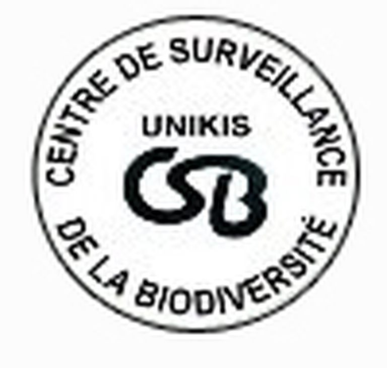 logo CSB (RDC)