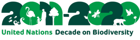 UN decade on Biodiversity 2011-2020