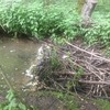 IMG_0775.JPG