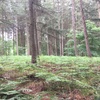 IMG_0782.JPG